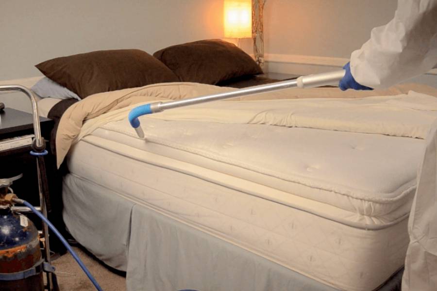 Tips to Get Rid of Bed Bugs